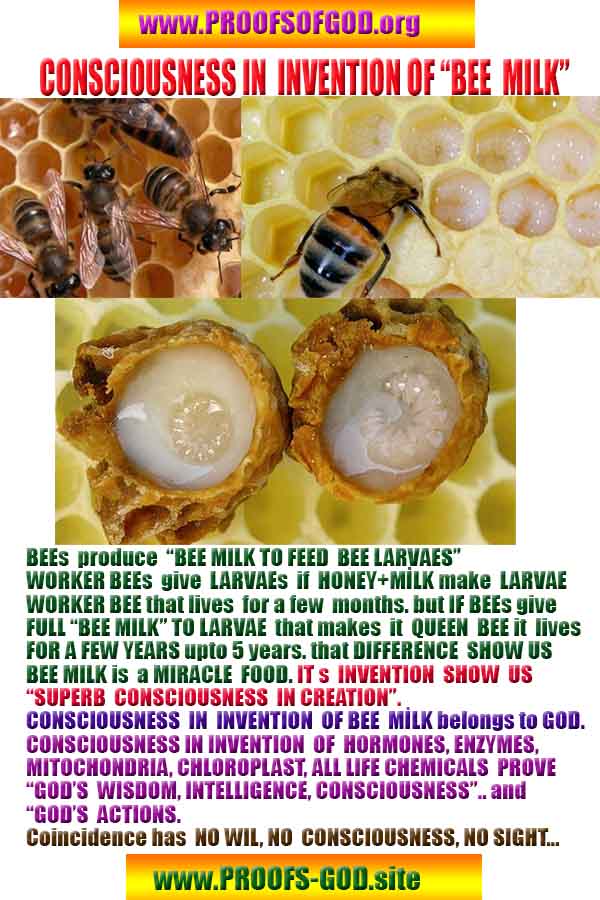 proofs of god, evidences of god, signs of god, god-proofs, proofs-god