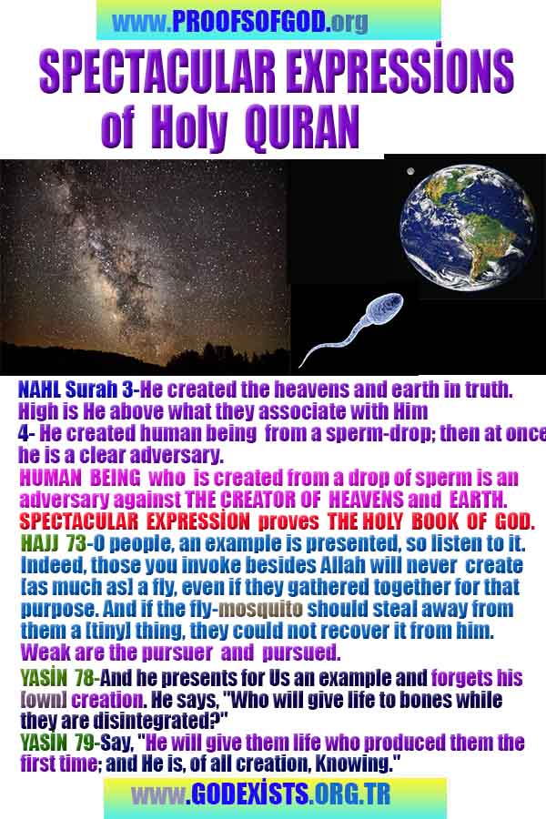 proofs of god, evidences of god, signs of god, god-proofs, proofs-god